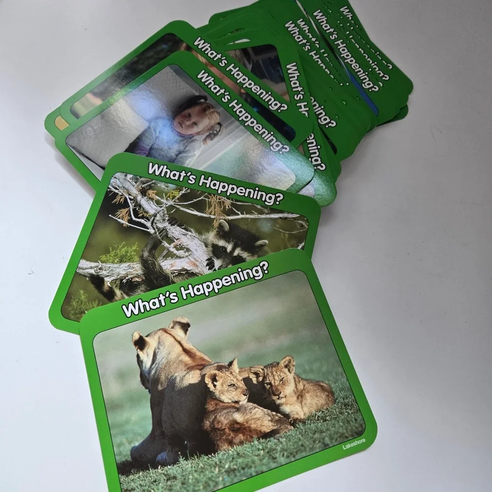 Lakeshore What's Happening? Photo Cards Kids Educational Discussion Prompts Tin